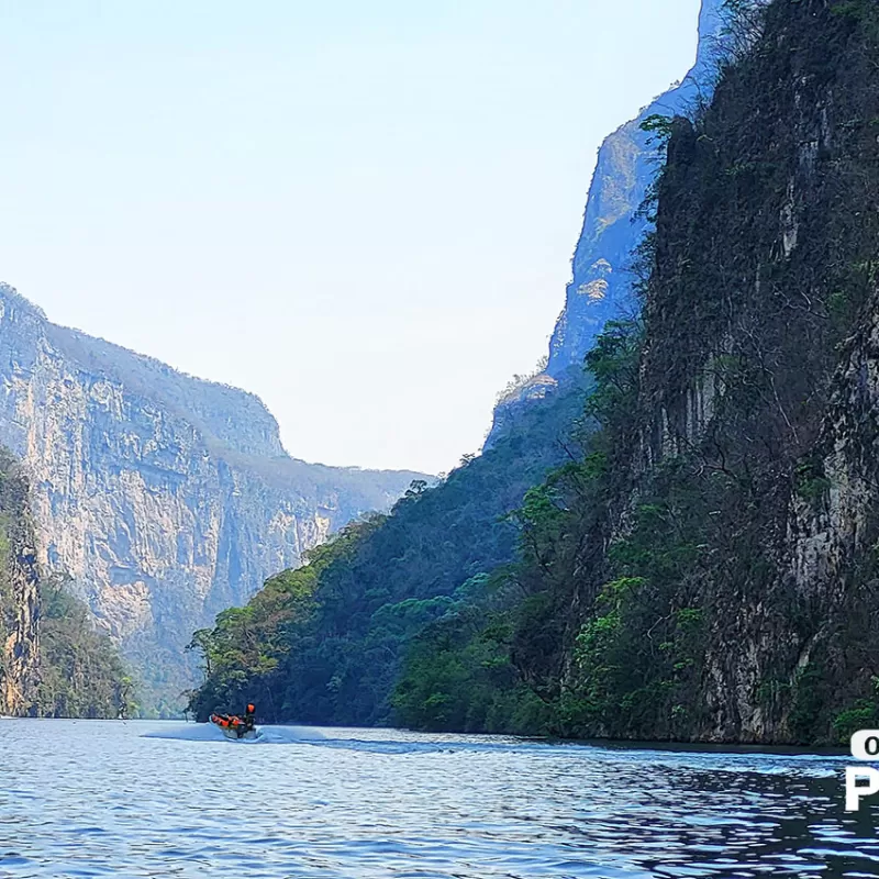 Tesoro  de Chiapas