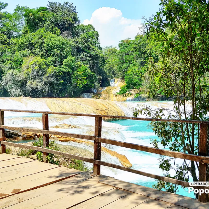 Selva  y Arqueología de Chiapas